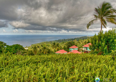 Kalinago Territory & East Coast