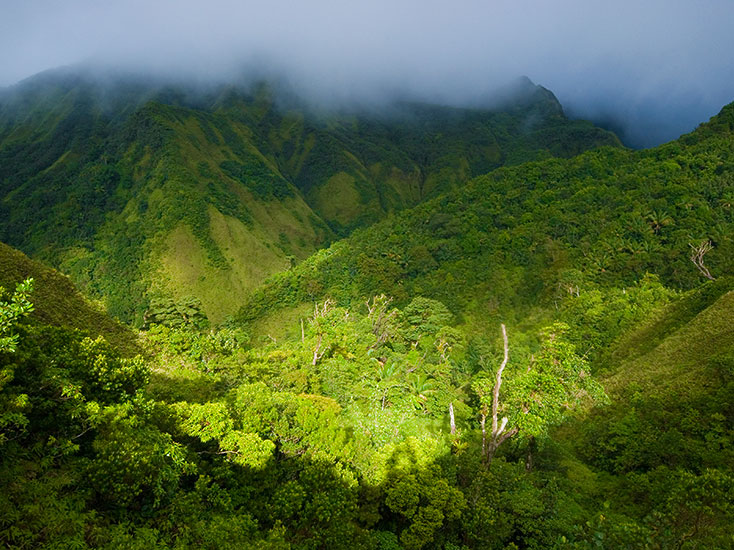 National Parks & Reserves