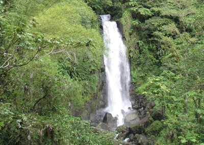 Waterfalls & Pools