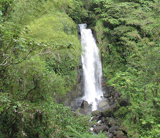 Waterfalls & Pools