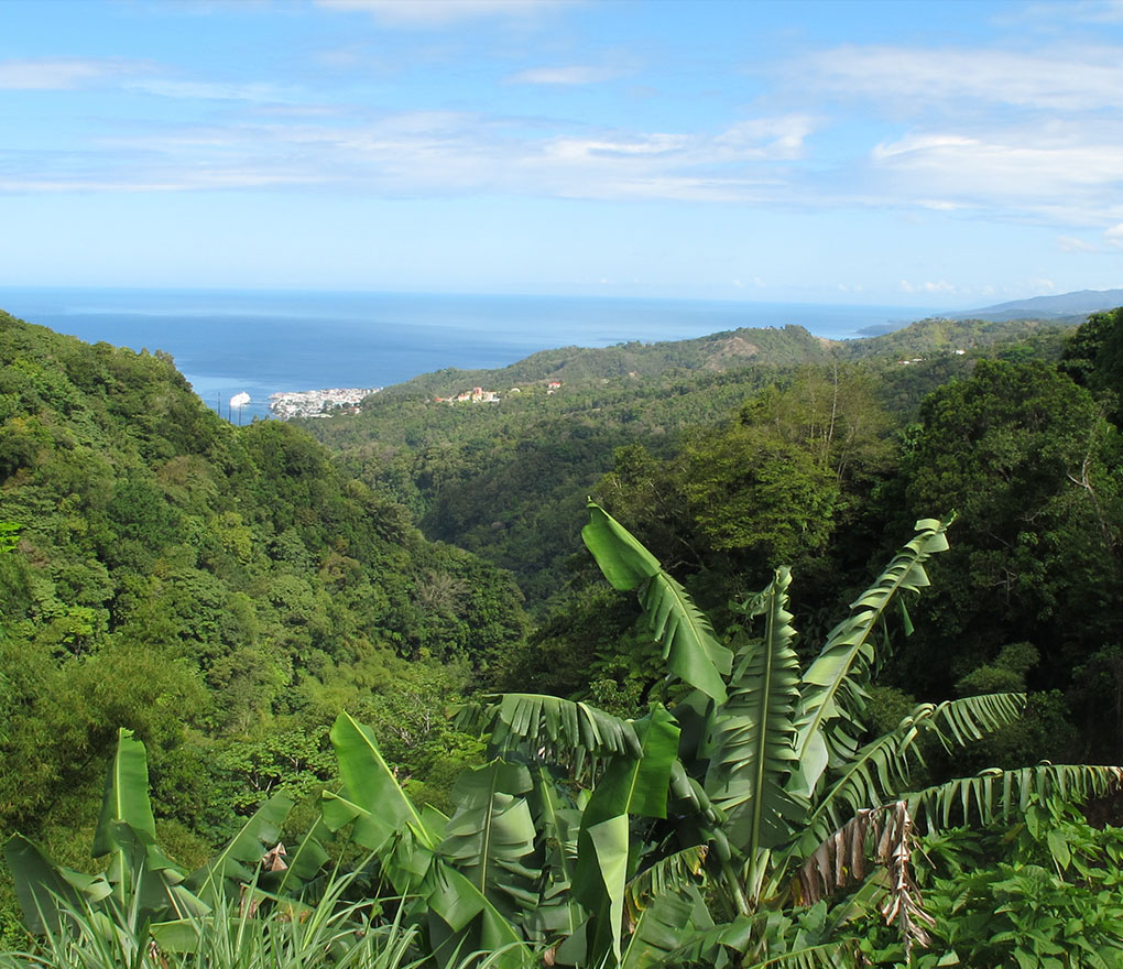 Waitukubuli National Trail: Segment 02